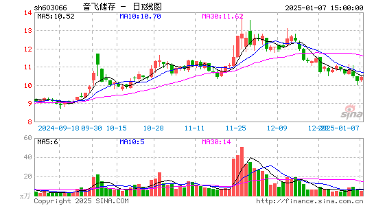 音飞储存