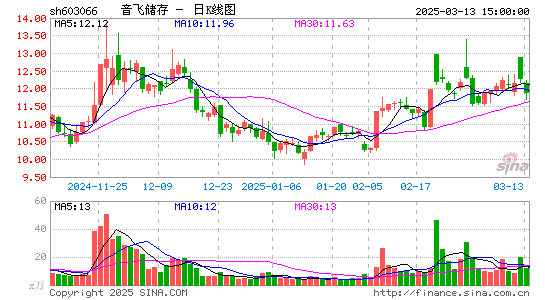 音飞储存