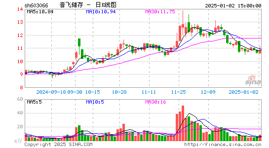 音飞储存