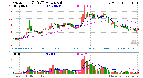 音飞储存