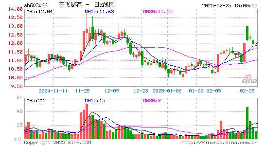 音飞储存