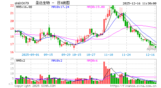 ʥ������