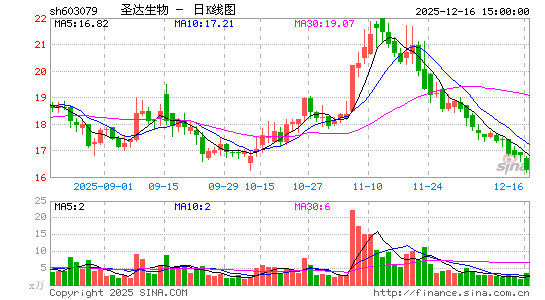 ʥ������