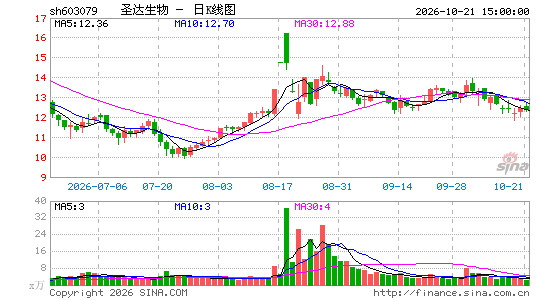 ʥ������