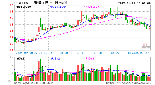 新疆火炬