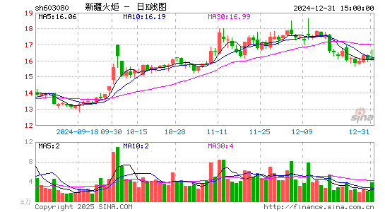 新疆火炬