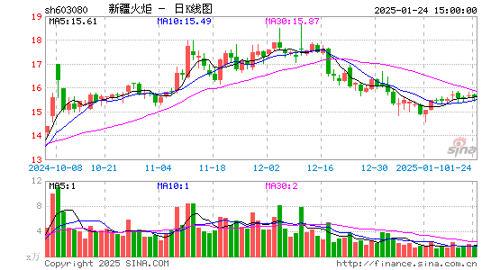 新疆火炬