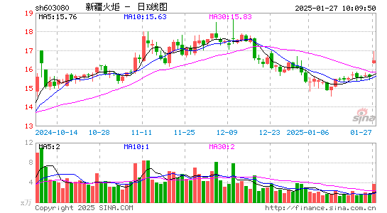 新疆火炬