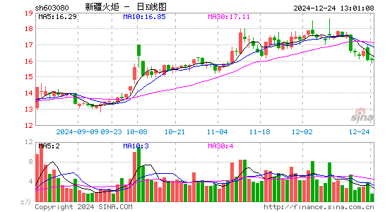 新疆火炬