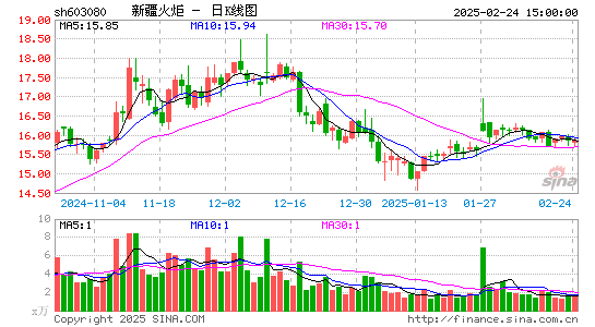 新疆火炬