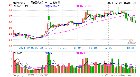 新疆火炬