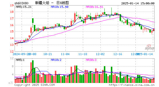 新疆火炬