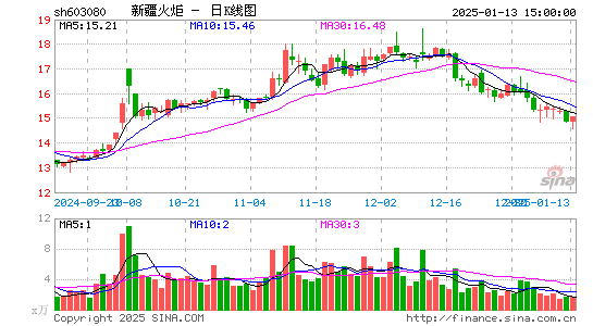 新疆火炬