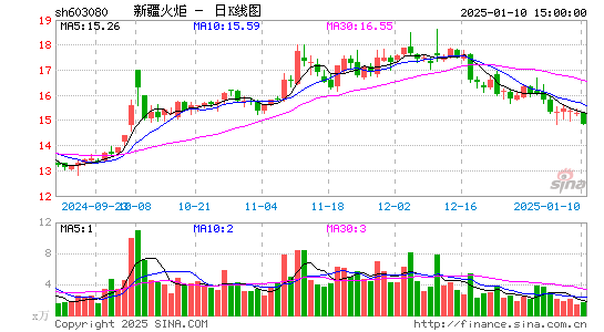 新疆火炬