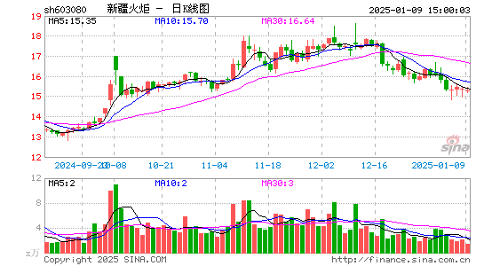 新疆火炬