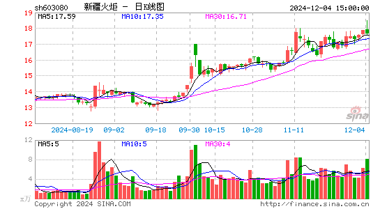 新疆火炬