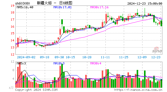 新疆火炬