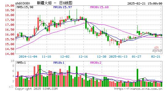 新疆火炬