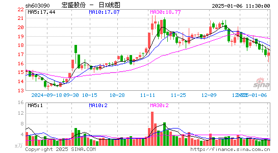 宏盛股份