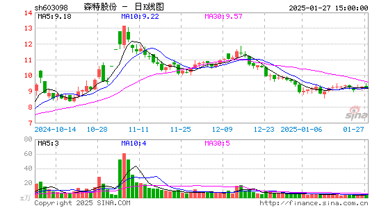 森特股份