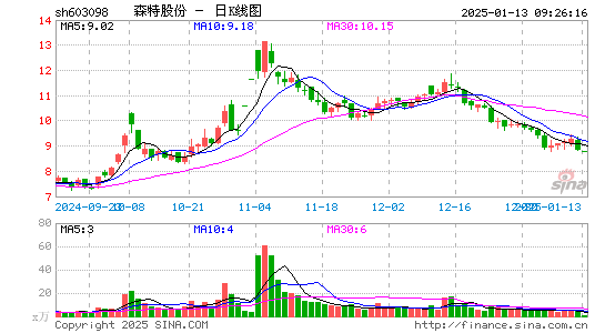 森特股份