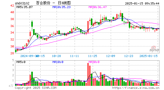 百合股份