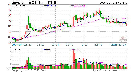 百合股份