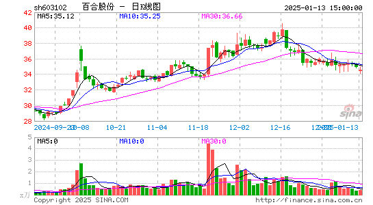 百合股份