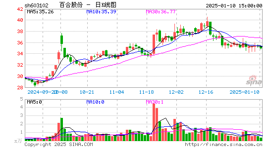 百合股份