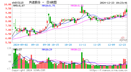 共进股份