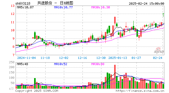 共进股份