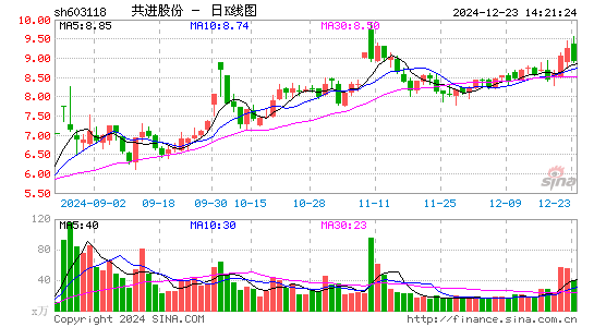 共进股份