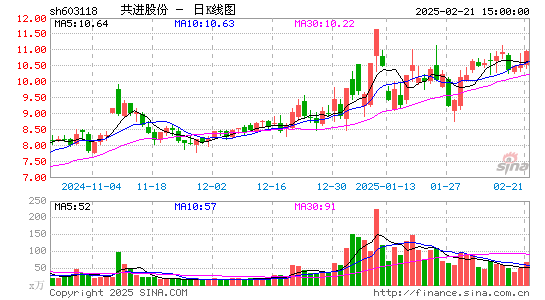 共进股份