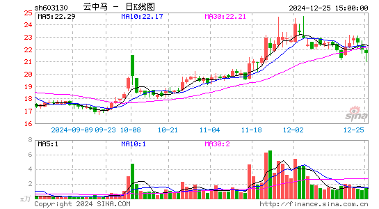 云中马