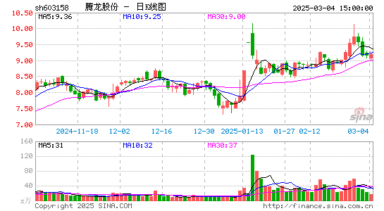 腾龙股份