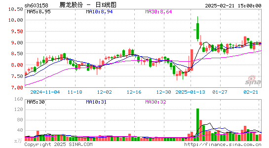 腾龙股份