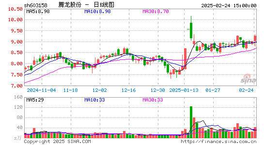 腾龙股份