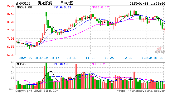 腾龙股份