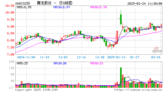 腾龙股份