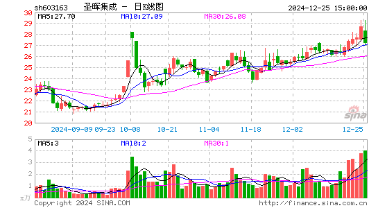 圣晖集成