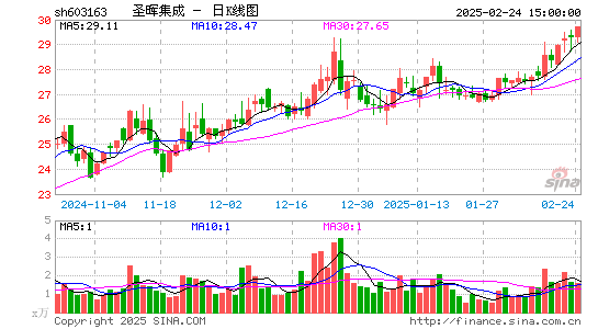 圣晖集成