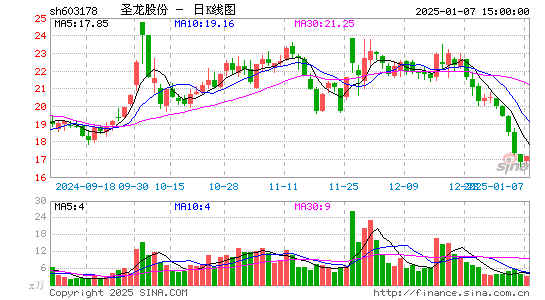 圣龙股份