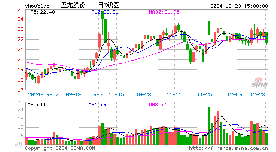 圣龙股份