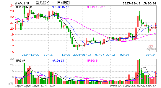 圣龙股份