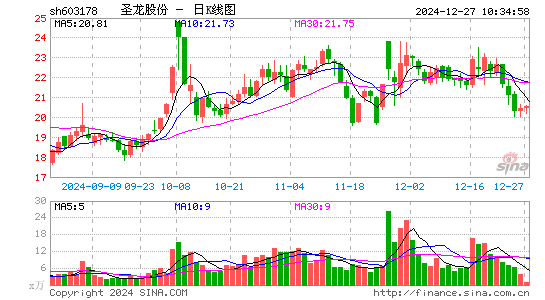 圣龙股份