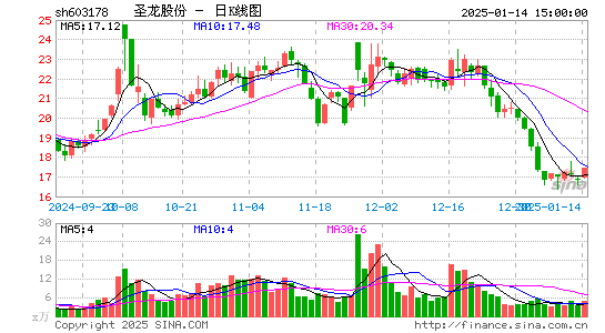 圣龙股份