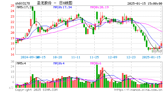 圣龙股份