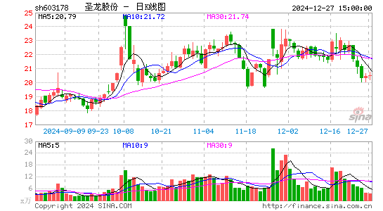 圣龙股份