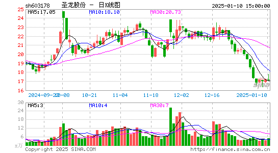 圣龙股份