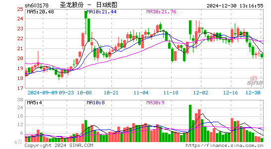 圣龙股份